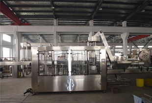 全自动油类灌装生产线 东泰机械在铁西的创新设计与卓越应用